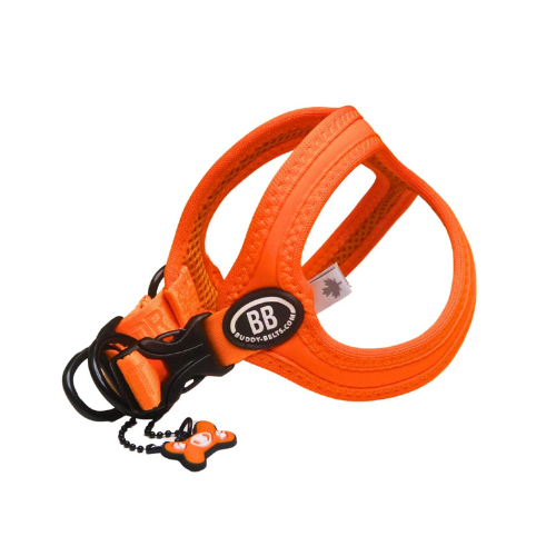Buddy Belt Sport Neoprene No Choke Dog Harness — Firefly Orange Side View