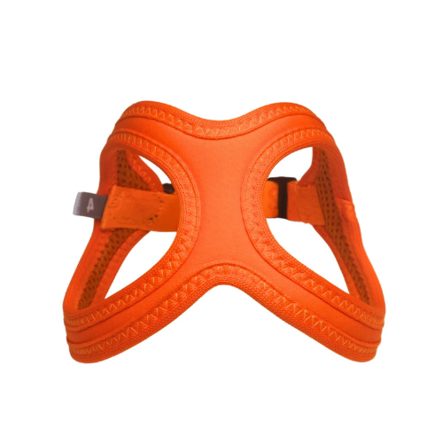 Buddy Belt Sport Neoprene No Choke Dog Harness — Firefly Orange Front View