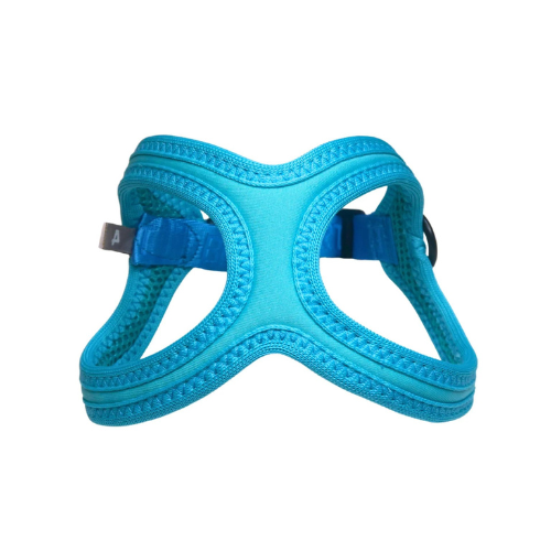 Buddy Belt Sport Neoprene No Choke Dog Harness — Kingfisher Blue Front View