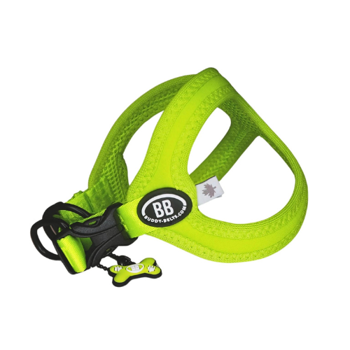 Buddy Belt Sport Neoprene No Choke Dog Harness — Kiwi Green Side View