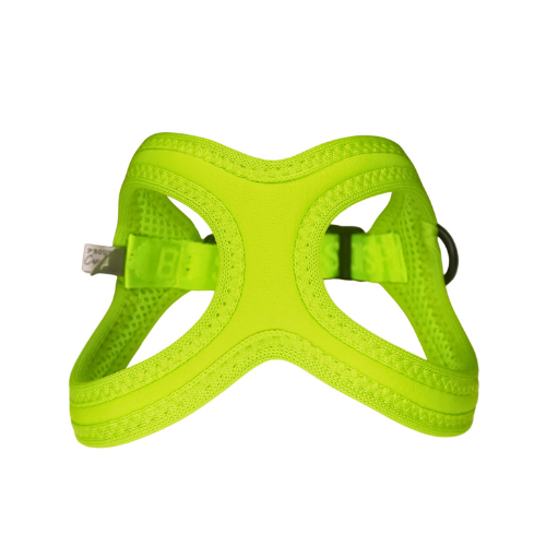 Buddy Belt Sport Neoprene No Choke Dog Harness — Kiwi Green Front View