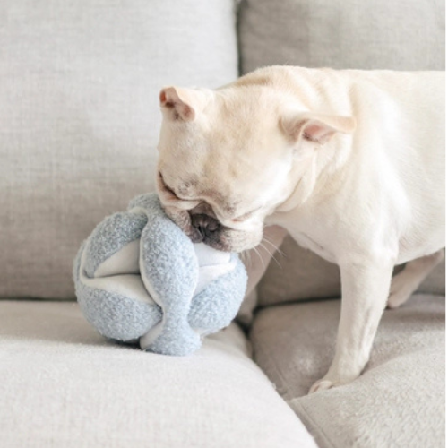 Dog engaging with Blue MONTI snuffle ball to find hidden treats