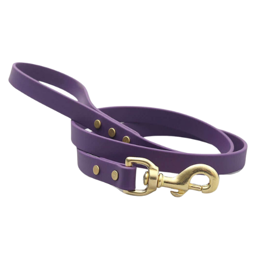 Mimi Green Biothane Waterproof No Stink Sport Lead — Purple