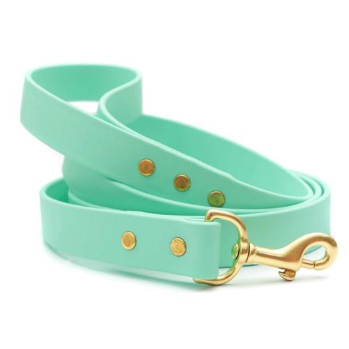 Mimi Green Biothane Waterproof No Stink Sport Lead — Seafoam