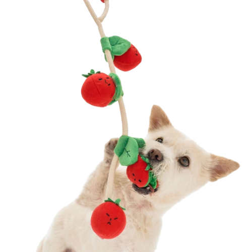 Dog tugging on cherry tomato rope toy with squeaker and soft fabric