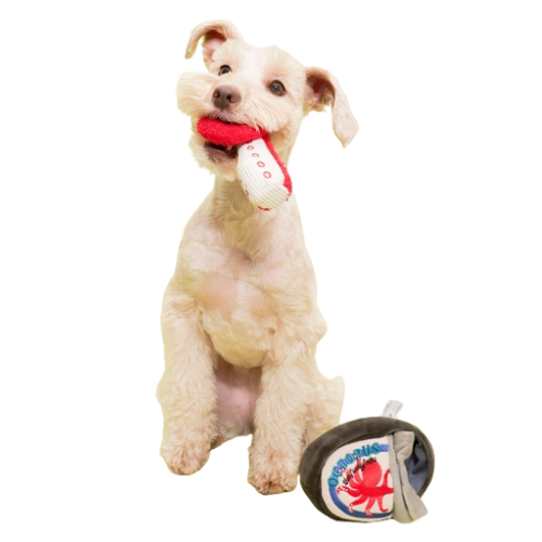 Dog using tinned octopus nosework toy to search for hidden treats