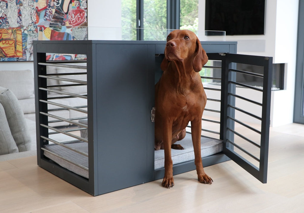 Bowsers Pet Products Moderno Contemporary Dog Crate with Dog