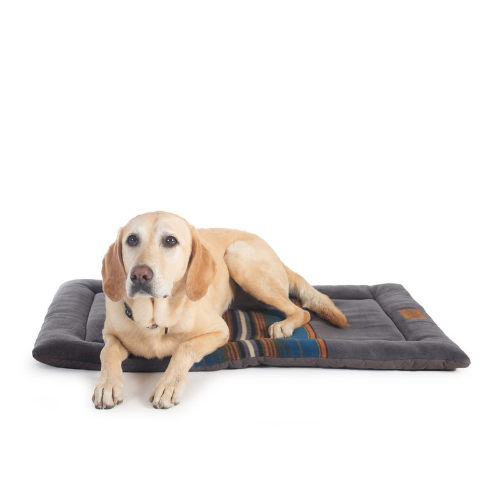 Carolina Pet Pendleton Comfort Cushion Dog Bed — Olympic National Park with Dog