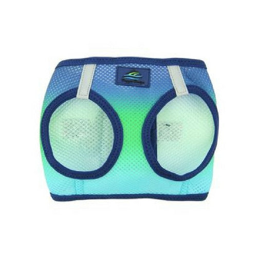 Doggie Design Ombre American River Choke Free Dog Harness — Northern Lights Front View