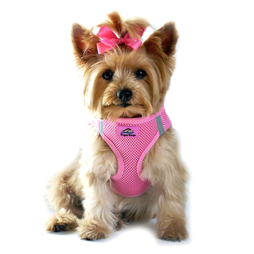 Doggie Design American River Choke Free Dog Harness — Candy Pink on Dog