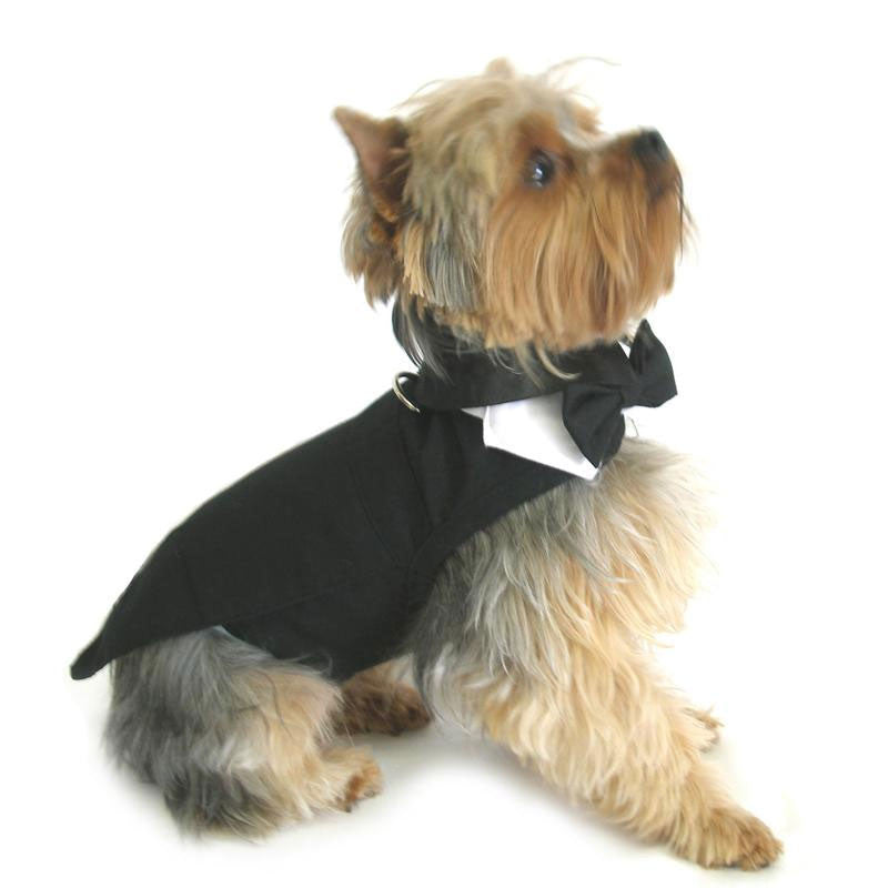 Doggie Design Formal Black Tie Dog Tuxedo with Tails and Top Hat on Dog
