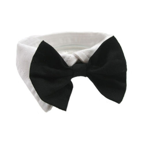 Doggie Design Formal Dog Tuxedo Shirt Collar with Black Bow Tie