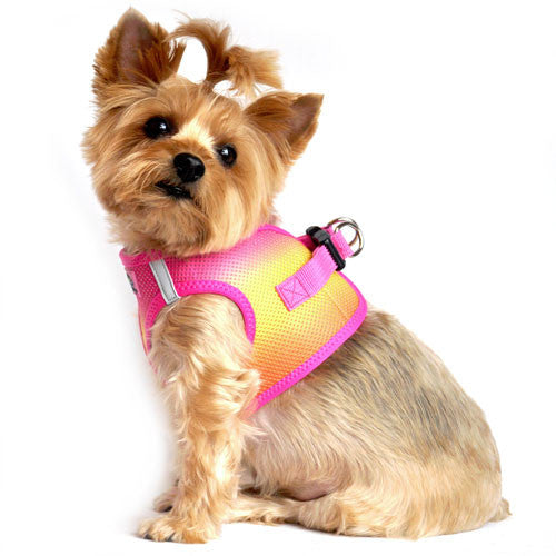 American River Ombre Harness — Raspberry Pink + Orange