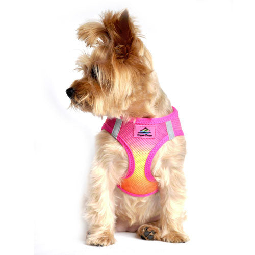 American River Ombre Harness — Raspberry Pink + Orange