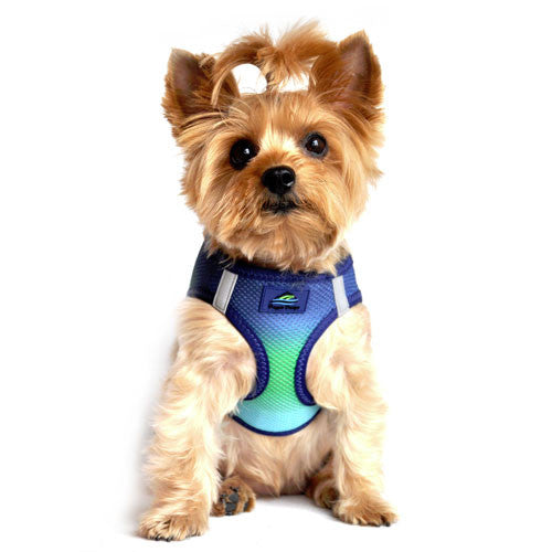Doggie Design Ombre American River Choke Free Dog Harness — Northern Lights on Dog