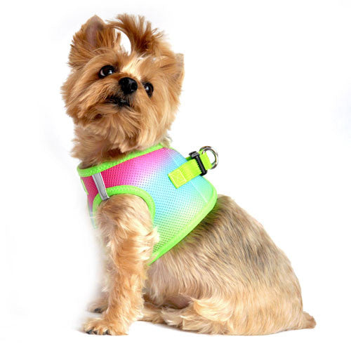 Doggie Design Ombre American River Choke Free Dog Harness — Rainbow on Dog Side View