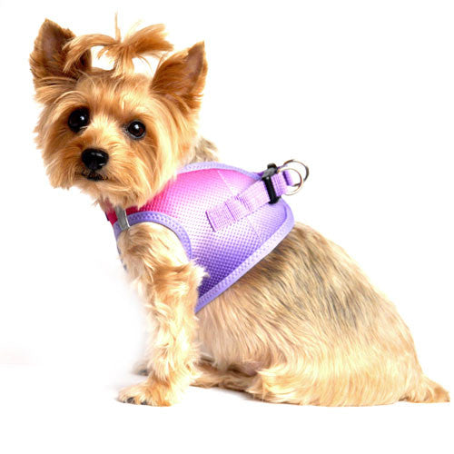 Doggie Design Ombre American River Choke Free Dog Harness — Raspberry Sundae