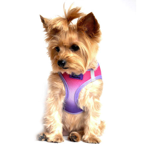 Doggie Design Ombre American River Choke Free Dog Harness — Raspberry Sundae