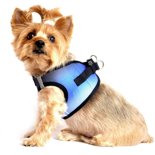 Doggie Design Ombre American River Choke Free Dog Harness — Midnight Sky on Dog Side View