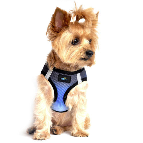 Doggie Design Ombre American River Choke Free Dog Harness — Midnight Sky on Dog