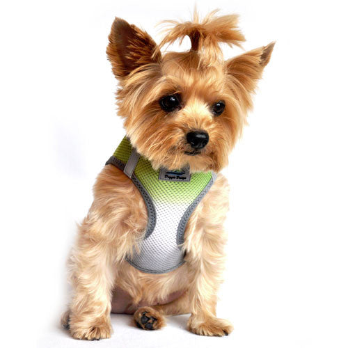 Doggie Design Ombre American River Choke Free Dog Harness — Limestone Gray on Dog