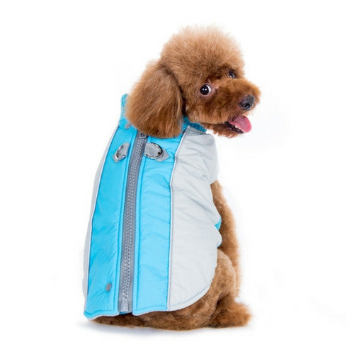 Dogo Pet Fashions Mountain Hiker Winter Dog Coat on Dog Back view