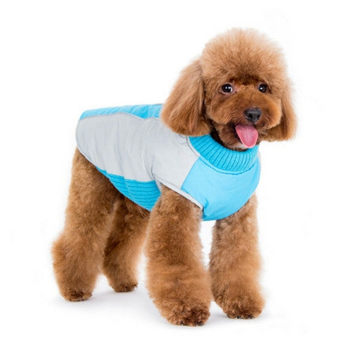 Dogo Pet Fashions Mountain Hiker Winter Dog Coat on Dog Front View