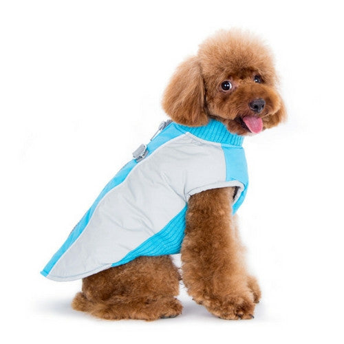 Dogo Pet Fashions Mountain Hiker Winter Dog Coat on Dog Side View