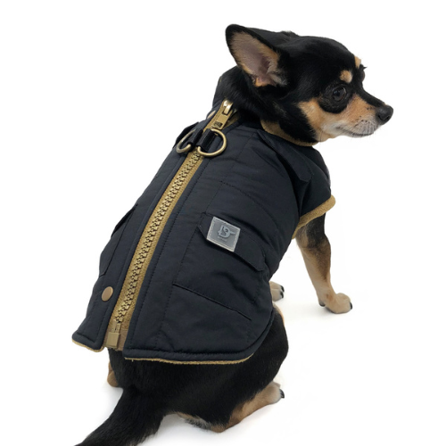 Dogo Pet Fashions Blue Insulated Pocket Runner Winter Dog Coat on Dog Vview
