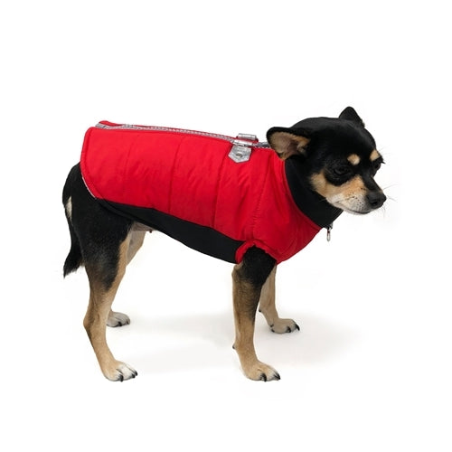 Dogo Pet Fashions Red Insulated Urban Runner Winter Dog Coat on Dog