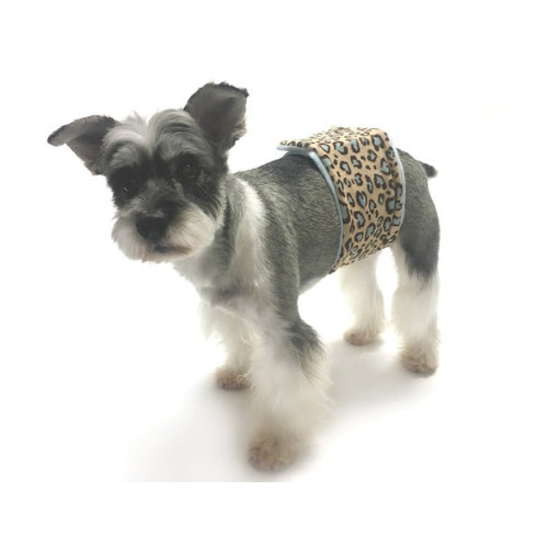 Oscar Newman Wild Child Boy Dog Incontinenece Belly Band — Leopard on Dog