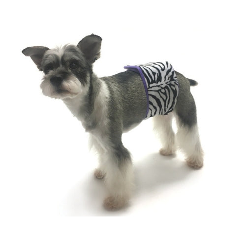 Oscar Newman Wild Child Boy Dog Incontinenece Belly Band — Zebra on Dog