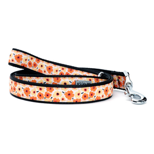 The Worthy Dog Fleurs Ribbon Nylon Webbing Matching Lead — Yellow