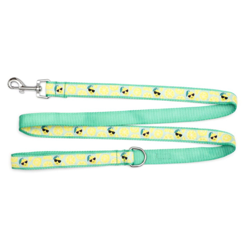 The Worthy Dog Cheerful Lemons Ribbon Nylon Webbing Matching Lead