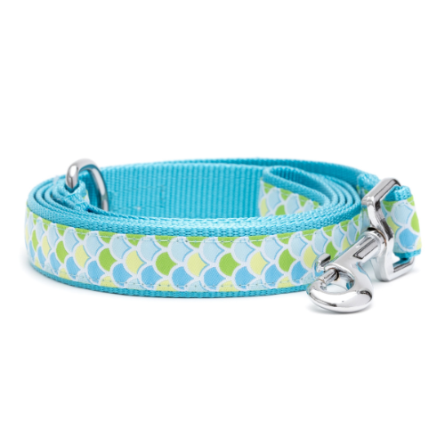 The Worthy Dog Mermaid Scales Ribbon Nylon Webbing Matching Lead — Blue Rolled View