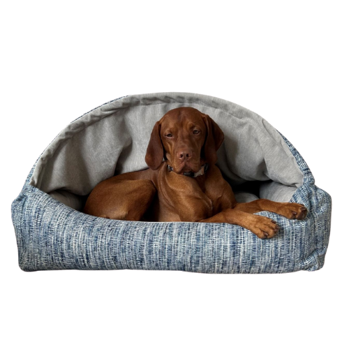 Bowsers Pet Products Canopy Burrow Dog Bed — Portofino with Dog