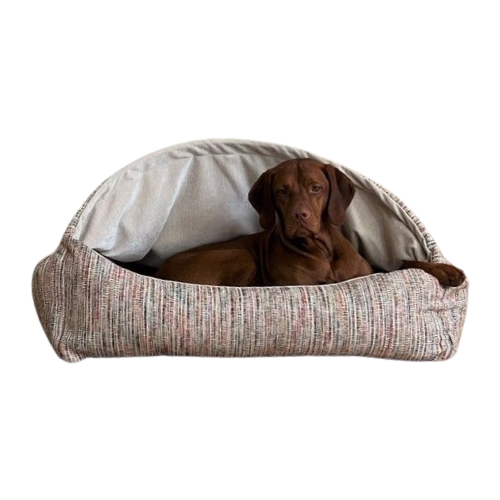 Bowsers Pet Products Canopy Burrow Dog Bed — Sorrento with Dog