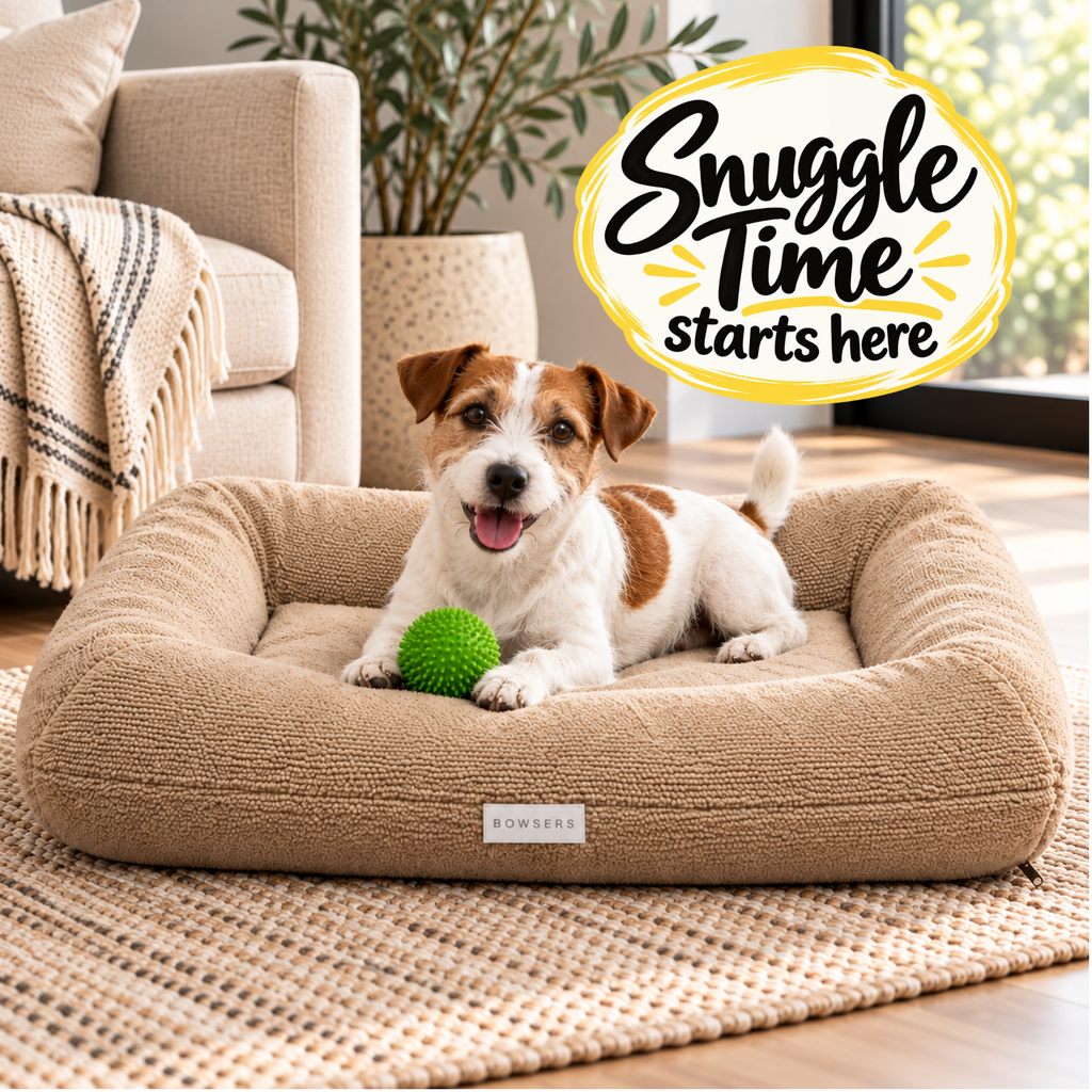 Jack Russell Terrier with green ball relaxing on Bowsers Hugo Futon Dog Bed in Oatmeal