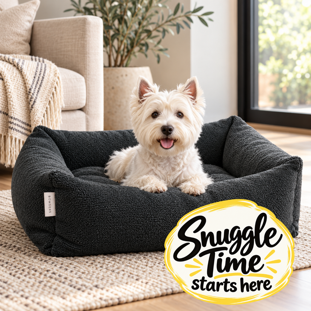 West Highland Terrier relaxing in a Bowsers Franklin dog bed in Chia performance terry