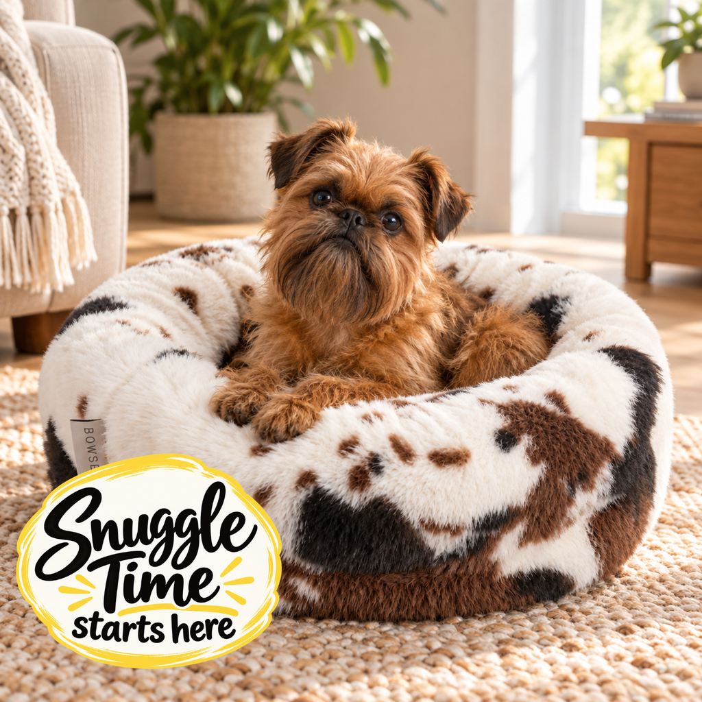 Brussels Griffon relaxing in Bowsers Muffy Nesting Dog Bed in Longhorn faux fur