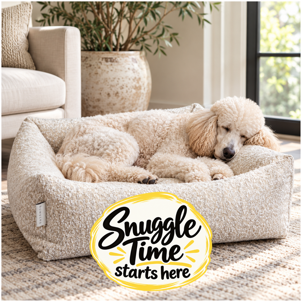 Standard Poodle sleeping in Bowsers Urban Lounger White Pearl dog bed