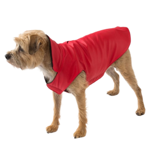 Canine Styles Red Athletic Animal Wrappers Neoprene Dog Raincoat  On Dog