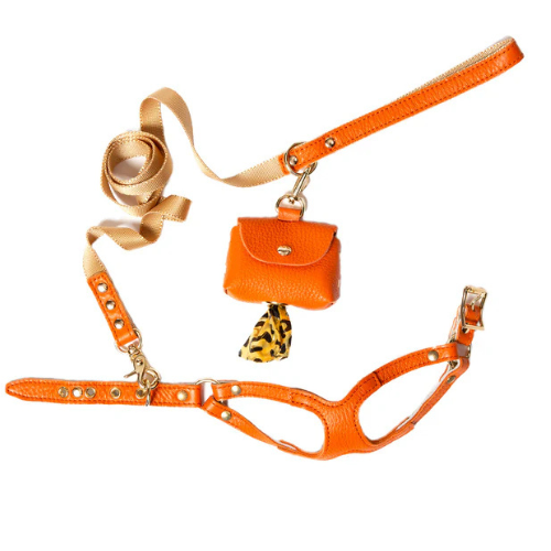 Canine Styles Soft Leather Step-In Harness and Nylon Lead Set — Orange