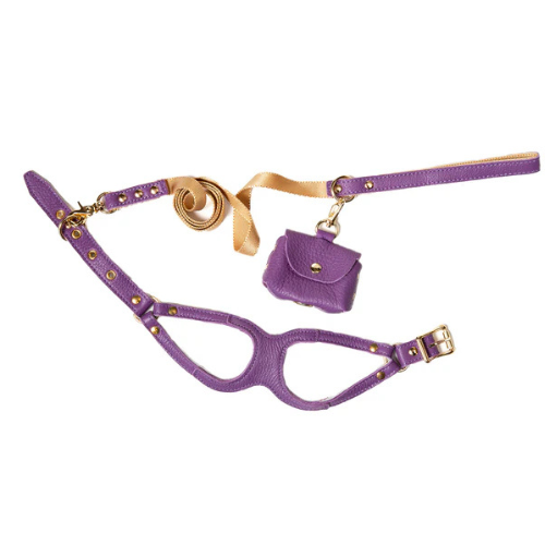 Canine Styles Soft Leather Step-In Harness and Nylon Lead Set — Purple