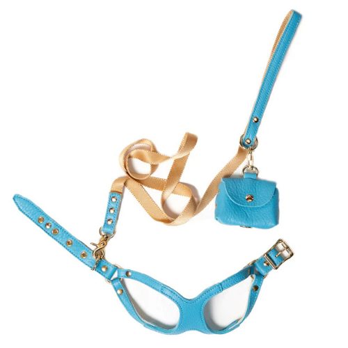 Canine Styles Soft Leather Step-In Harness and Nylon Lead Set — Turquoise