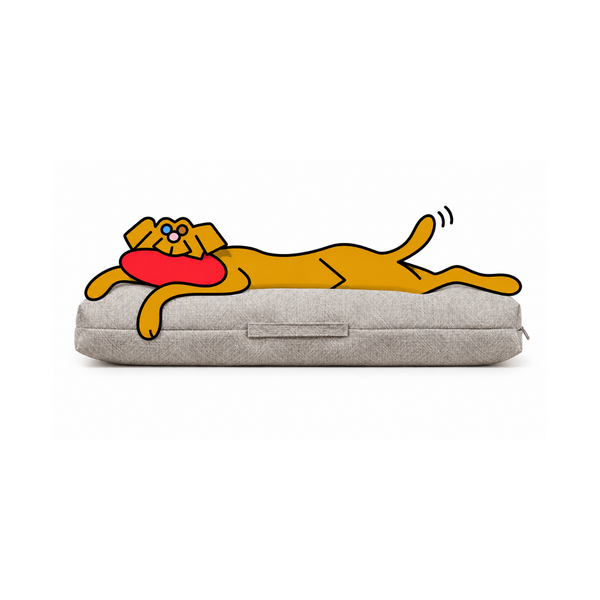Bowsers The Avenue dog bed in light gray with the illustrated Fetch dog stretched out, one front paw draped over the edge.