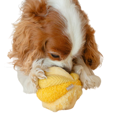 Small dog using quiet TOTO snuffle ball toy to search for hidden treats