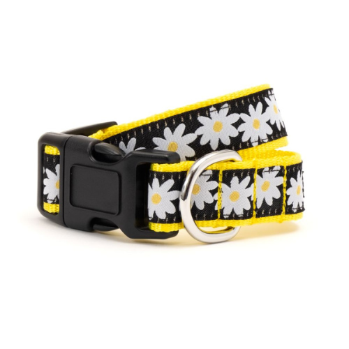 The Worthy Dog Black Lazy Daisy Ribbon Nylon Webbing Dog Collar