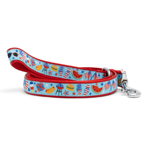 The Worthy Dog Independence Day Ribbon Nylon Webbing Matching Lead