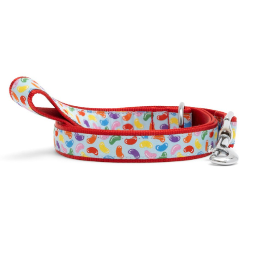 The Worthy Dog Jelly Beans Ribbon Nylon Webbing Matching Lead